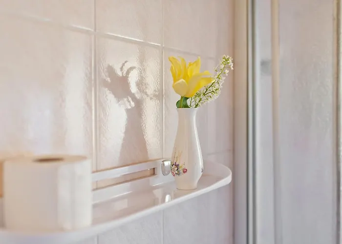 Adeles Konukevi Palanga